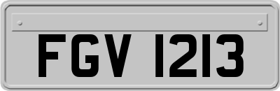 FGV1213