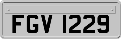 FGV1229