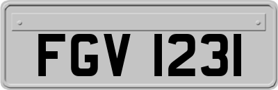 FGV1231