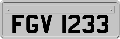 FGV1233