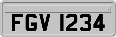 FGV1234
