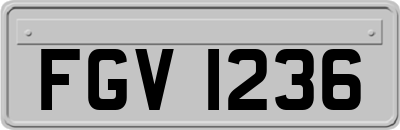 FGV1236