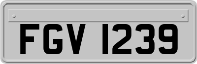 FGV1239