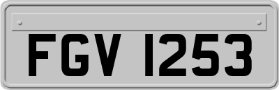 FGV1253