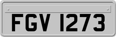 FGV1273