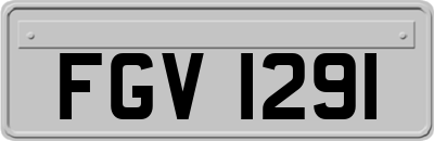 FGV1291