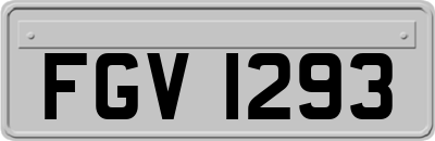 FGV1293