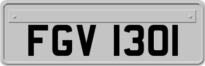 FGV1301