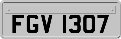 FGV1307