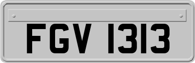 FGV1313