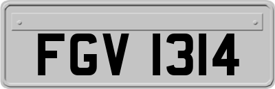 FGV1314