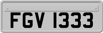 FGV1333