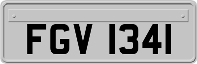 FGV1341