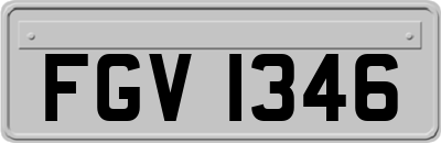 FGV1346