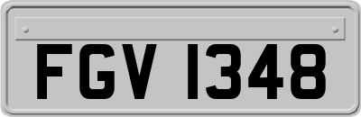 FGV1348