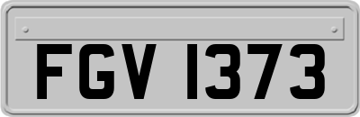 FGV1373