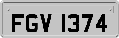 FGV1374