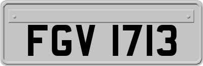 FGV1713