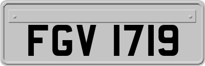 FGV1719