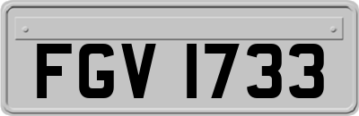FGV1733