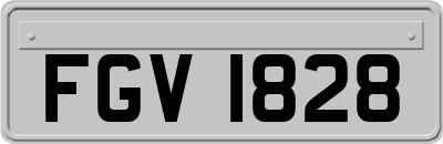 FGV1828