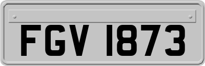FGV1873
