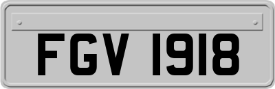 FGV1918