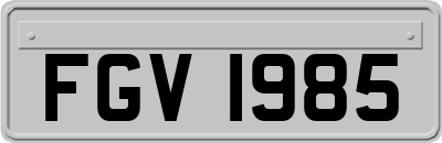 FGV1985