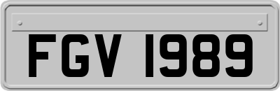 FGV1989