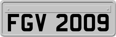 FGV2009
