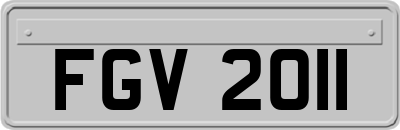 FGV2011