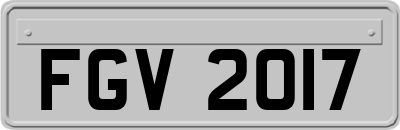FGV2017