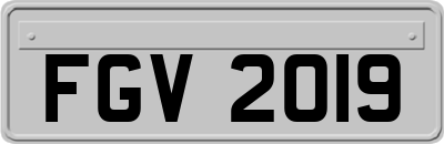 FGV2019