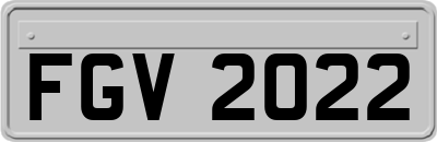 FGV2022