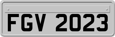 FGV2023