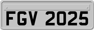 FGV2025