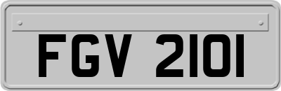 FGV2101