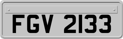 FGV2133