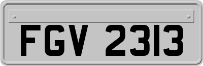 FGV2313
