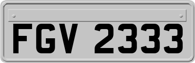 FGV2333