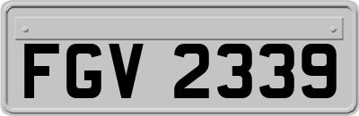 FGV2339