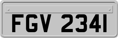 FGV2341