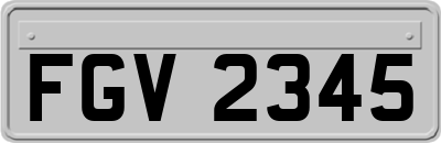 FGV2345