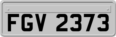 FGV2373