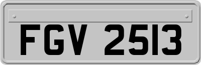 FGV2513