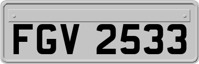 FGV2533