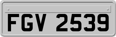 FGV2539