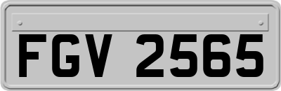 FGV2565
