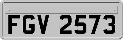 FGV2573