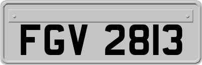 FGV2813